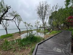 -渤公岛生态公园