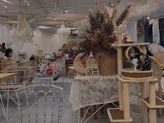-共舞时光猫咖·狗咖(新街口店)