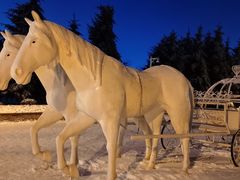 -长春公园(普阳街道)