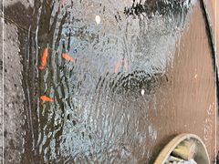 -新世界大丸百货