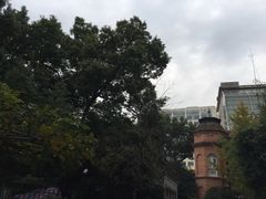 -复旦大学附属华山医院(总院)