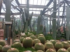 -华南国家植物园-售票处