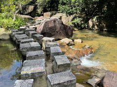 -广州白江湖森林公园