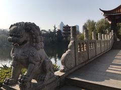 -沙市市中山公园