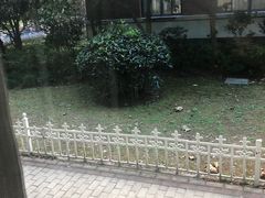 -复旦大学邯郸校区南区游泳馆