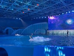-海合安青岛极地海洋公园