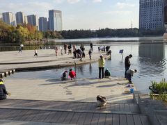 -南翔镇银翔湖公园