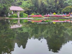 -庐山风景区花径公园