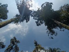 -重庆海昌加勒比海水世界