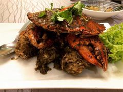 -新加坡海鲜共和(名胜世界圣淘沙海滨坊)