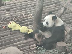 -大连森林动物园