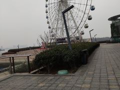 -琴岛之星摩天轮