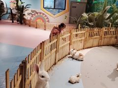 -巴克创奇梦工厂
