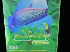 -重庆欢乐海底世界