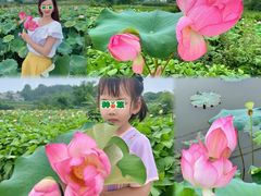 -东莞植物园