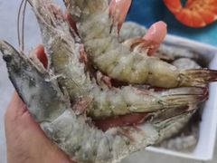 -铭记蛙小仙·活蛙畅享(CBD万达广场店)