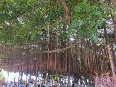 -胡里山炮台
