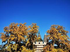 -北京石刻艺术博物馆(五塔寺)