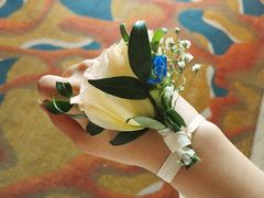 -济南喜来登酒店