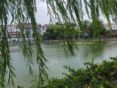 -金山嘴渔村