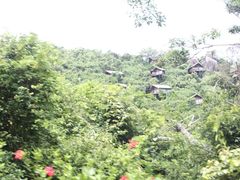 IMG_39951-三亚亚龙湾人间天堂鸟巢度假村