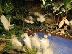 -酷嗒动物文化乐园(cutezoo西溪乐天城店)