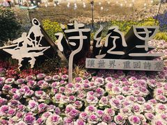 -诗经里