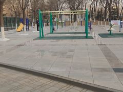 -金星公园