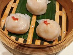 -迦南苑·新派青岛菜·生日纪念日主题餐厅