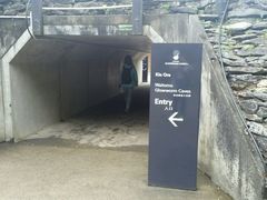 -怀托摩萤火虫洞