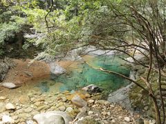 -祁门牯牛降观音堂风景区