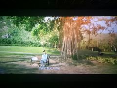 -星河国际影城(新会店)