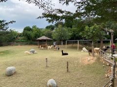 -泉州海丝野生动物世界