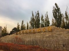 -永定河休闲森林公园