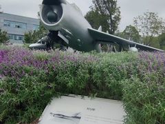 -成飞公园