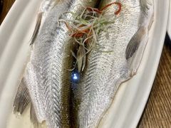 太湖白鱼-太湖饭店·寄畅轩中餐厅