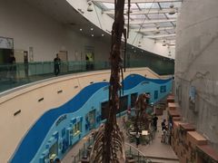 -陕西自然博物馆