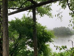 -庐山风景区花径公园