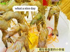 -尚海豆捞(乐虹坊店)