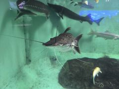 -太平洋海底世界