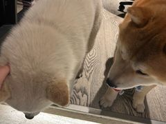 -盱眙虾神於氏龙虾(夫子庙红街店)