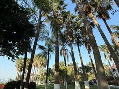 -鼓浪屿钢琴博物馆