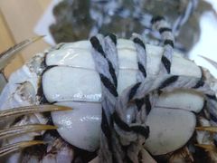 -乡乐园蟹庄·阳澄湖农家乐