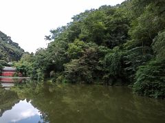 -黔灵山公园