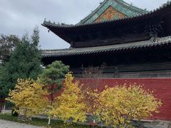 -报恩寺(平武县)