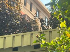 -真利味·脊骨火锅·正宗韩国料理(韩乐坊店)