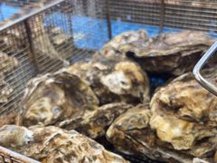 -抹直口特色菜馆(一店)