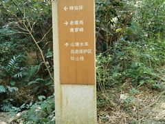 -滴水岩森林公园