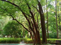 -徐家汇源景区-衡山公园