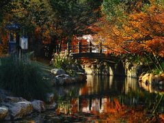 -上海共青森林公园